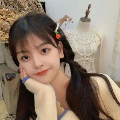 修女艾达